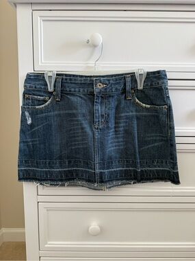 American Eagle Jean Skirt (8)